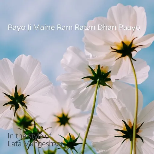 Payo Ji Maine Ram Ratan Dhan Paayo - Karaoke