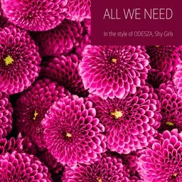 Cover art for All We Need - ODESZA,Shy Girls karaoke version
