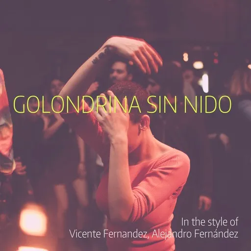 Golondrina Sin Nido - Karaoke