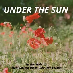 Cover art for Under the Sun - Alok,Ella Henderson,Switch Disco karaoke version