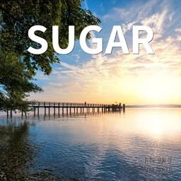 Omslagsbild för Sugar - Flo Rida,Wynter Gordon karaokeversion