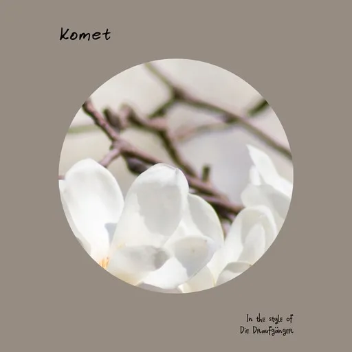Karaoke Komet by Die Draufgänger — sing along with lyrics on Singa
