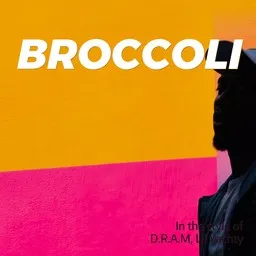 Cover art for Broccoli - D.R.A.M,Lil Yachty karaoke version