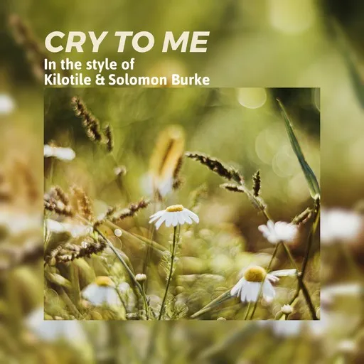 Karaoke Cry To Me by Kilotile & Solomon Burke — sing along with lyrics on Singa