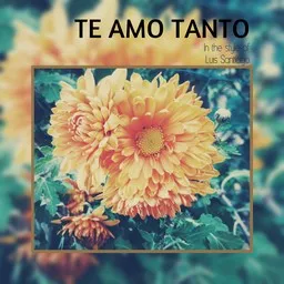 Cover art for Te Amo Tanto - Luis Santiago karaoke version