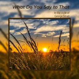 Titelbild für What Do You Say to That - George Strait Karaoke-Version