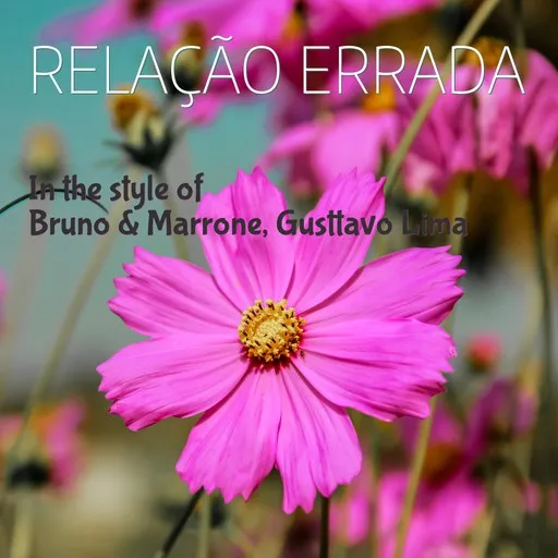 Relação Errada - Karaoke
