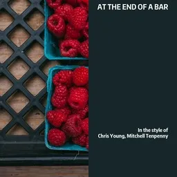 Omslagsbild för At the End of a Bar - Chris Young,Mitchell Tenpenny karaokeversion