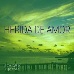Cover art for Herida De Amor - Grupo Yndio karaoke version