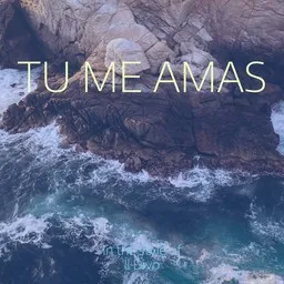 Cover art for Tu Me Amas - Il Divo karaoke version