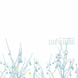 Cover art for The Past and Pending - The Shins karaoke version