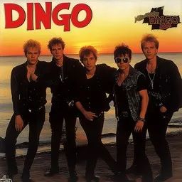 Cover art for Kerjäläisten valtakunta - Dingo karaoke version
