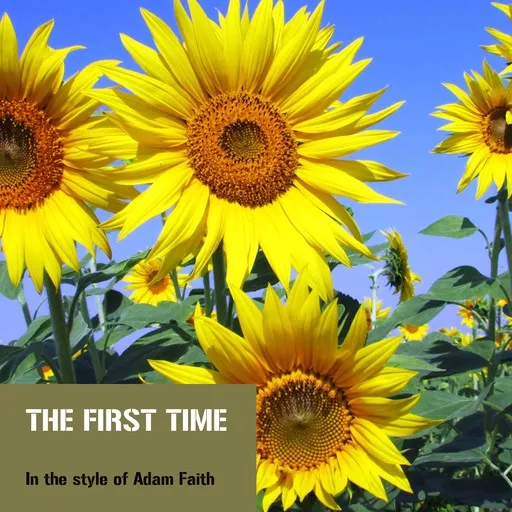 The First Time - Karaoke