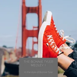 Cover art for The Bonnie Tyler Medley 1 - Bonnie Tyler karaoke version