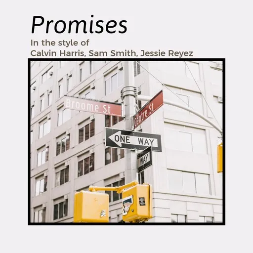 Karaoke Promises von Calvin Harris, Jessie Reyez, Sam Smith — mit Songtext mitsingen auf Singa