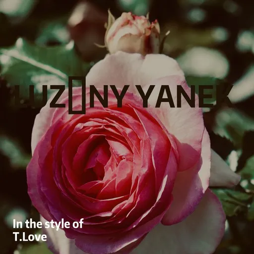 Karaoke Luźny Yanek by T.Love — sing along with lyrics on Singa