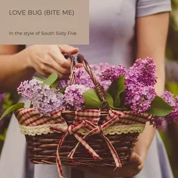 Cover art for Love Bug (Bite Me) - South 65 karaoke version