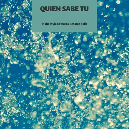 Quien Sabe Tu - Karaoke