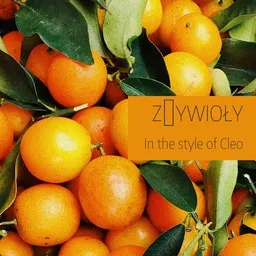 Cover art for Żywioły - Cleo karaoke version