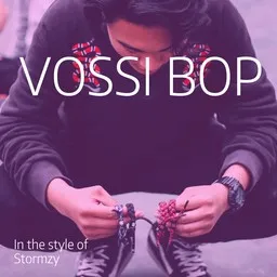 Cover art for Vossi Bop - Stormzy karaoke version