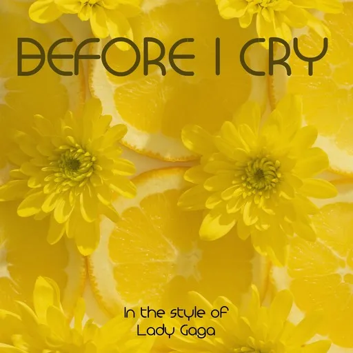 Before I Cry - Karaoke