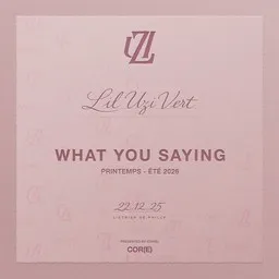 Cover art for What You Saying - Lil Uzi Vert karaoke version