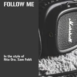Titelbild für Follow Me - Rita Ora,Sam Feldt Karaoke-Version