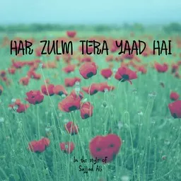 Cover art for Har Zulm Tera Yaad Hai - Sajjad Ali karaoke version