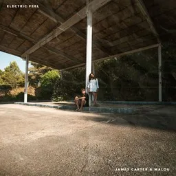 Omslagsbild för Electric Feel - James Carter,Malou karaokeversion