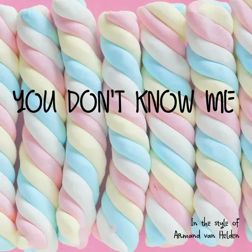 Karaoke You Don't Know Me by Armand van Helden — sing along with lyrics on Singa