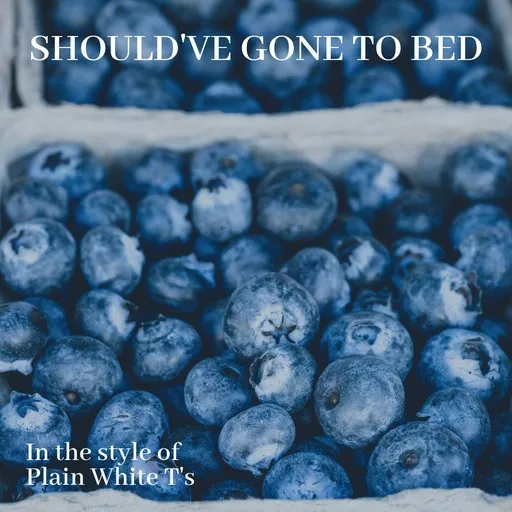 Should've Gone To Bed - Karaoke