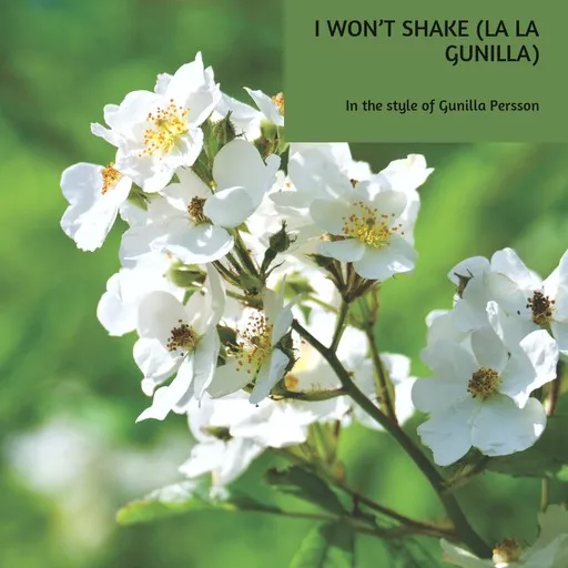 Karaoke I Won’t Shake (La La Gunilla) von Gunilla Persson — mit Songtext mitsingen auf Singa