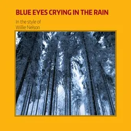 Cover art for Blue Eyes Crying in the Rain - Willie Nelson karaoke version