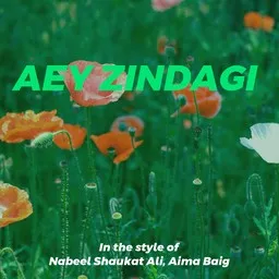 Cover art for Aey Zindagi - Aima Baig,Nabeel Shaukat Ali karaoke version