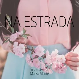 Cover art for Na Estrada - Marisa Monte karaoke version