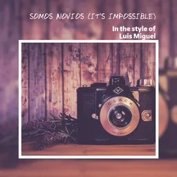 Cover art for Somos Novios (It's Impossible) - Luis Miguel karaoke version
