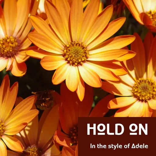 Hold On - Karaoke