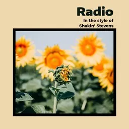 Cover art for Radio - Shakin' Stevens karaoke version