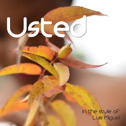 Karaoke Usted by Luis Miguel — sing along with lyrics on Singa