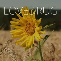 Cover art for Lovedrug - Lady Gaga karaoke version