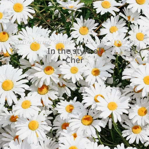 Karaoke Gimme Gimme Gimme (A Man After Midnight) by Cher — sing along with lyrics on Singa