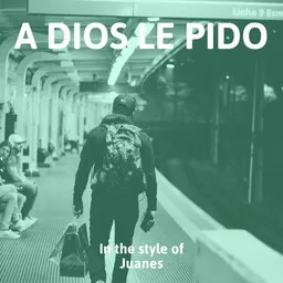 Cover art for A Dios le Pido - Juanes karaoke version