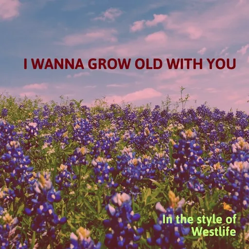Karaoke I Wanna Grow Old With You von Westlife — mit Songtext mitsingen auf Singa