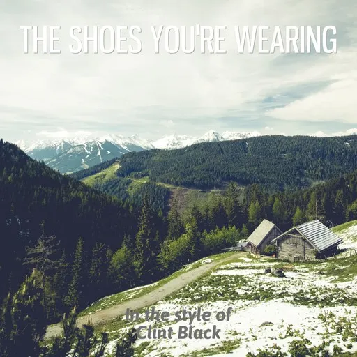 The Shoes You're Wearing - Karaoke