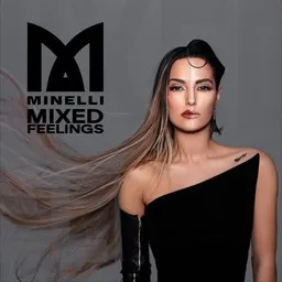 Omslagsbild för 2 Criminals - Minelli karaokeversion