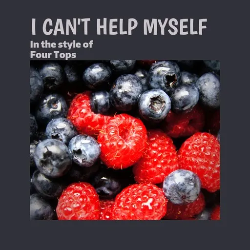 I Can't Help Myself - Karaoke