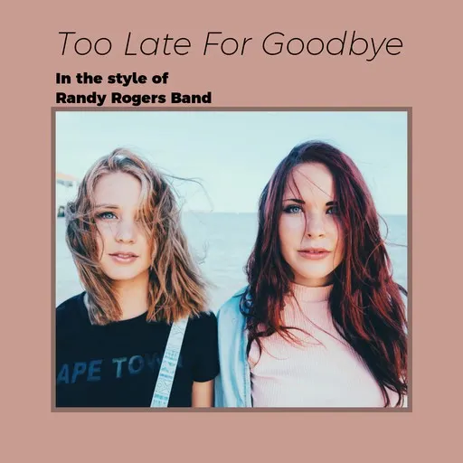 Too Late For Goodbye - Karaoke