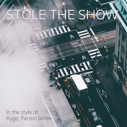 Omslagsbild för Stole the Show - Kygo,Parson James karaokeversion