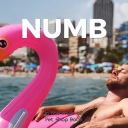 Titelbild für Numb - Pet Shop Boys Karaoke-Version