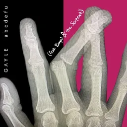 Cover art for Abcdefu - Gayle,Royal,the Serpent karaoke version